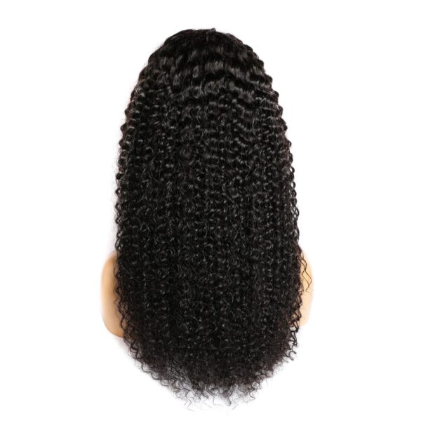 Curly Human Hair Wig Lace Hair Products - Image 4